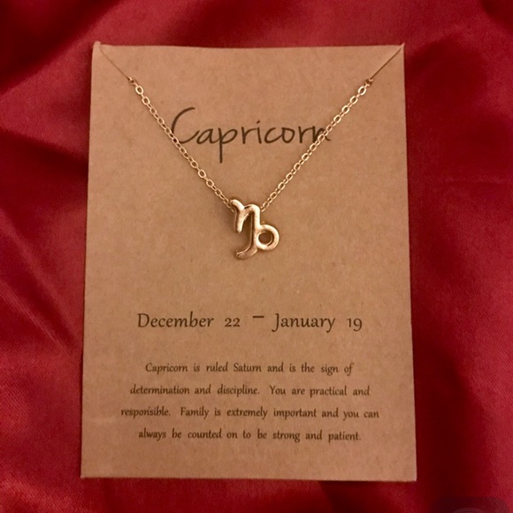Capricorn Charm Minimalist Boho Dainty Necklace - Picture 5 of 9